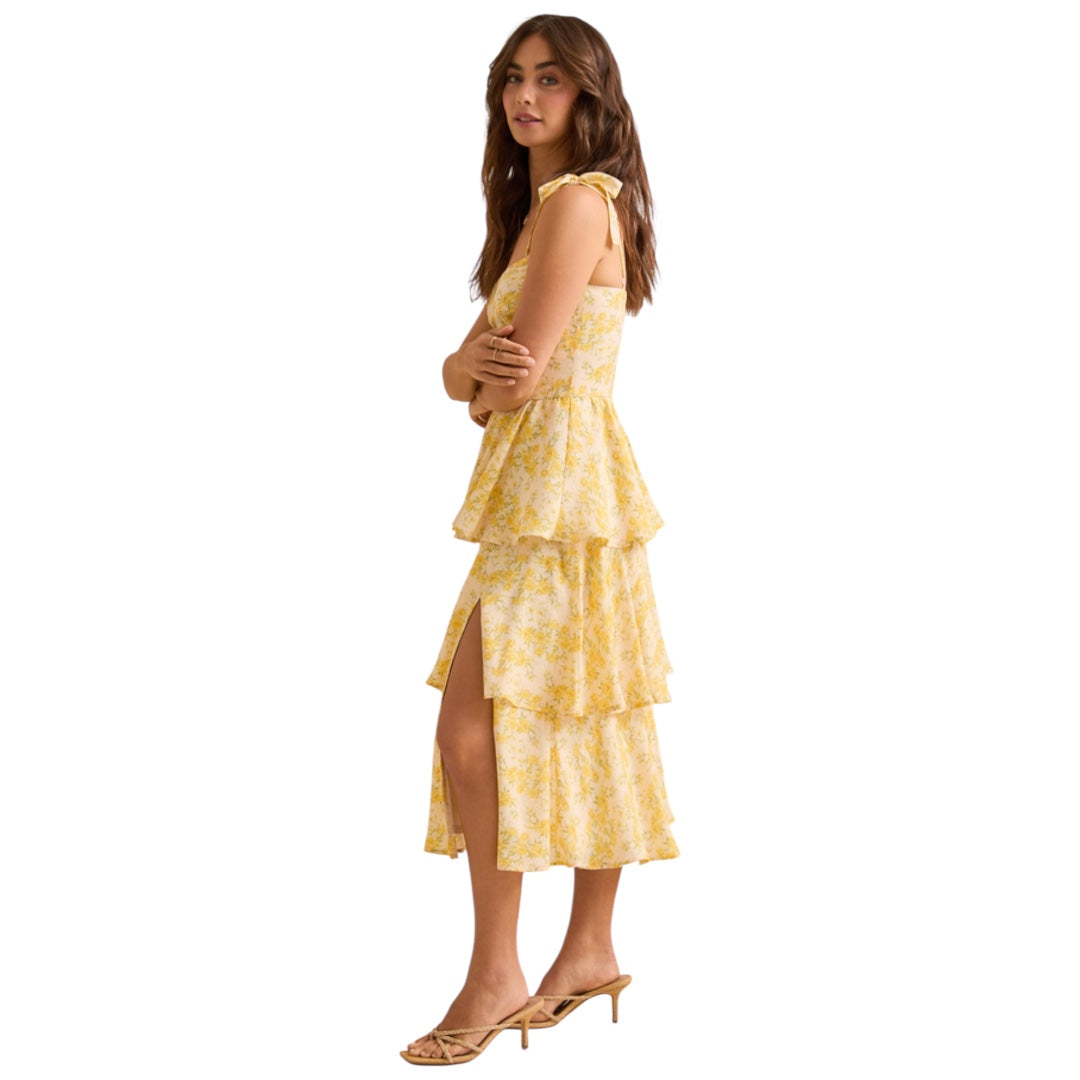 Altar’d State Melina Floral Maxi Dress NWT