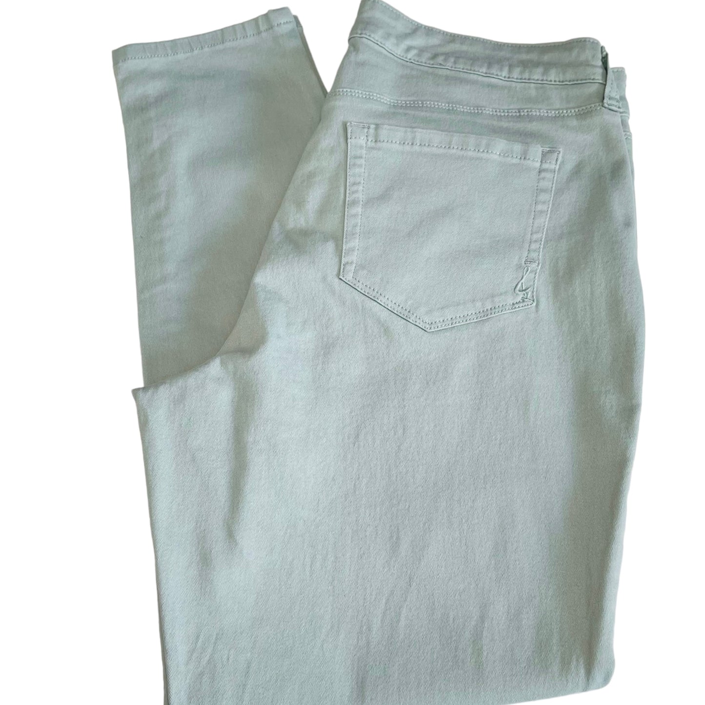 Style & Co Curvey Skinny Pants Size 10