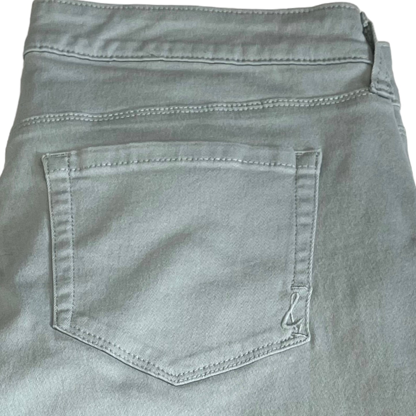Style & Co Curvey Skinny Pants Size 10
