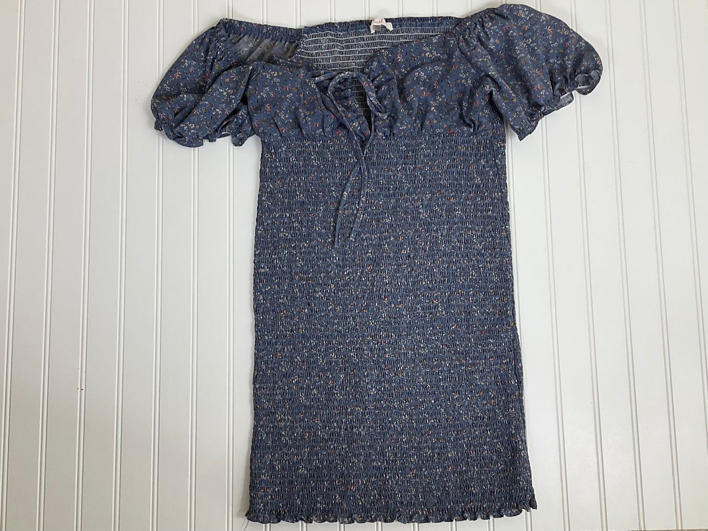 Blush BJ Shirred Dress Size 2XL