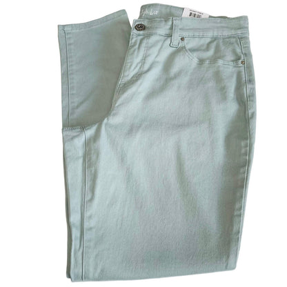 Style & Co Curvey Skinny Pants Size 10