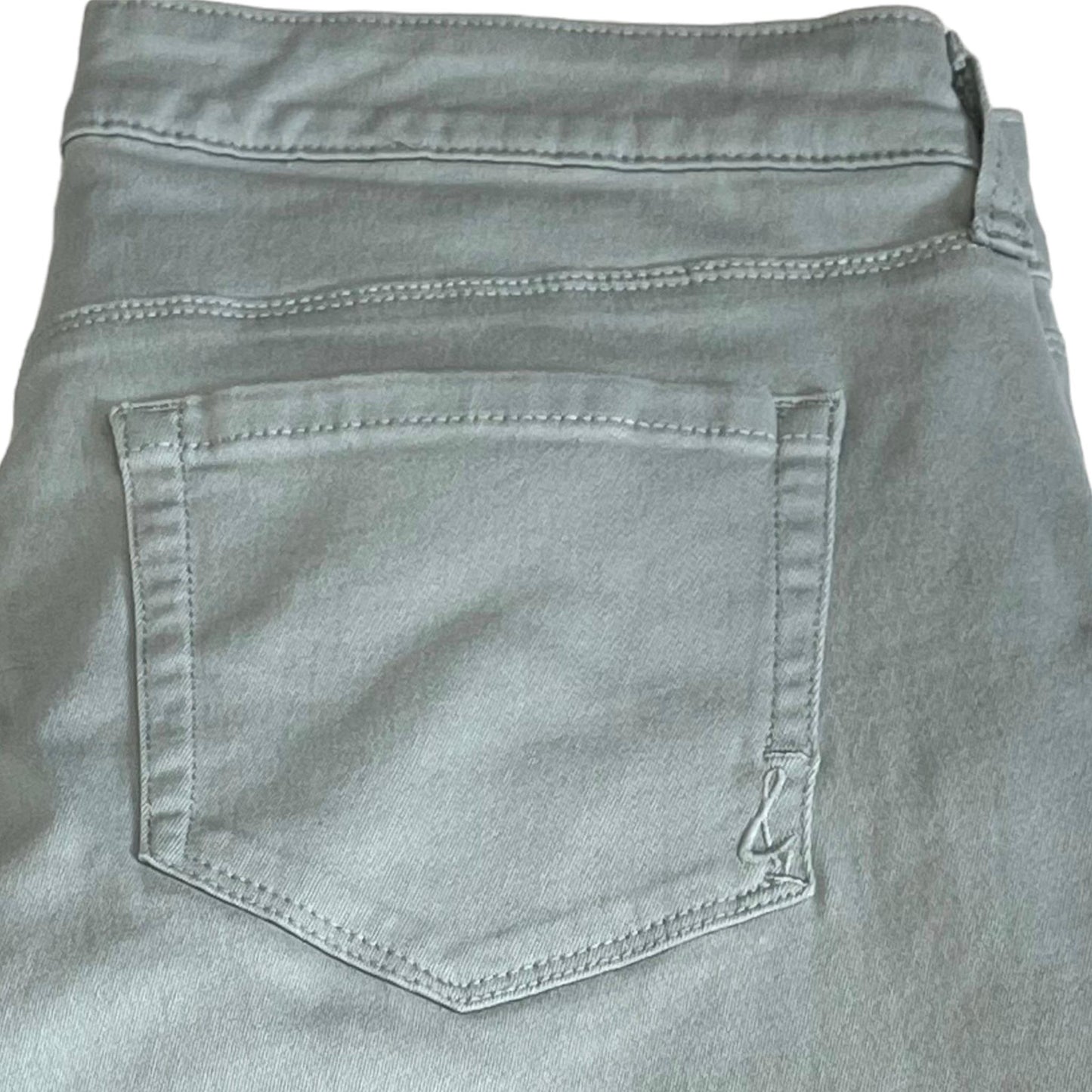 Style & Co Curvey Skinny Pants Size 10