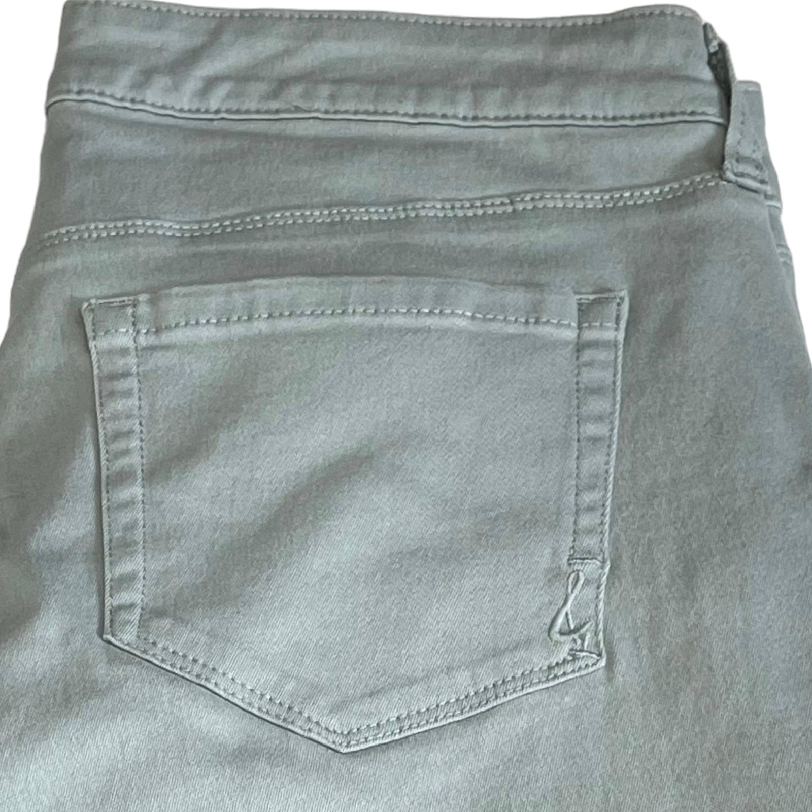 Style & Co Curvey Skinny Pants Size 10