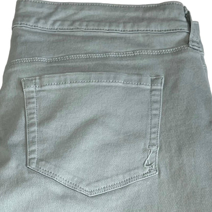 Style & Co Curvey Skinny Pants Size 10
