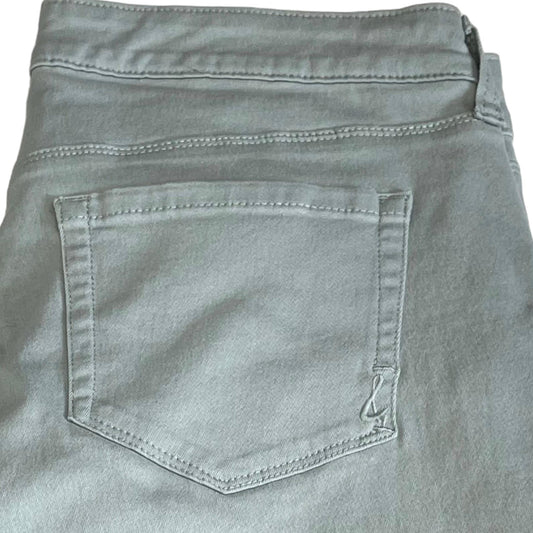 Style & Co Curvey Skinny Pants Size 10