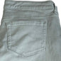 Style & Co Curvey Skinny Pants Size 10