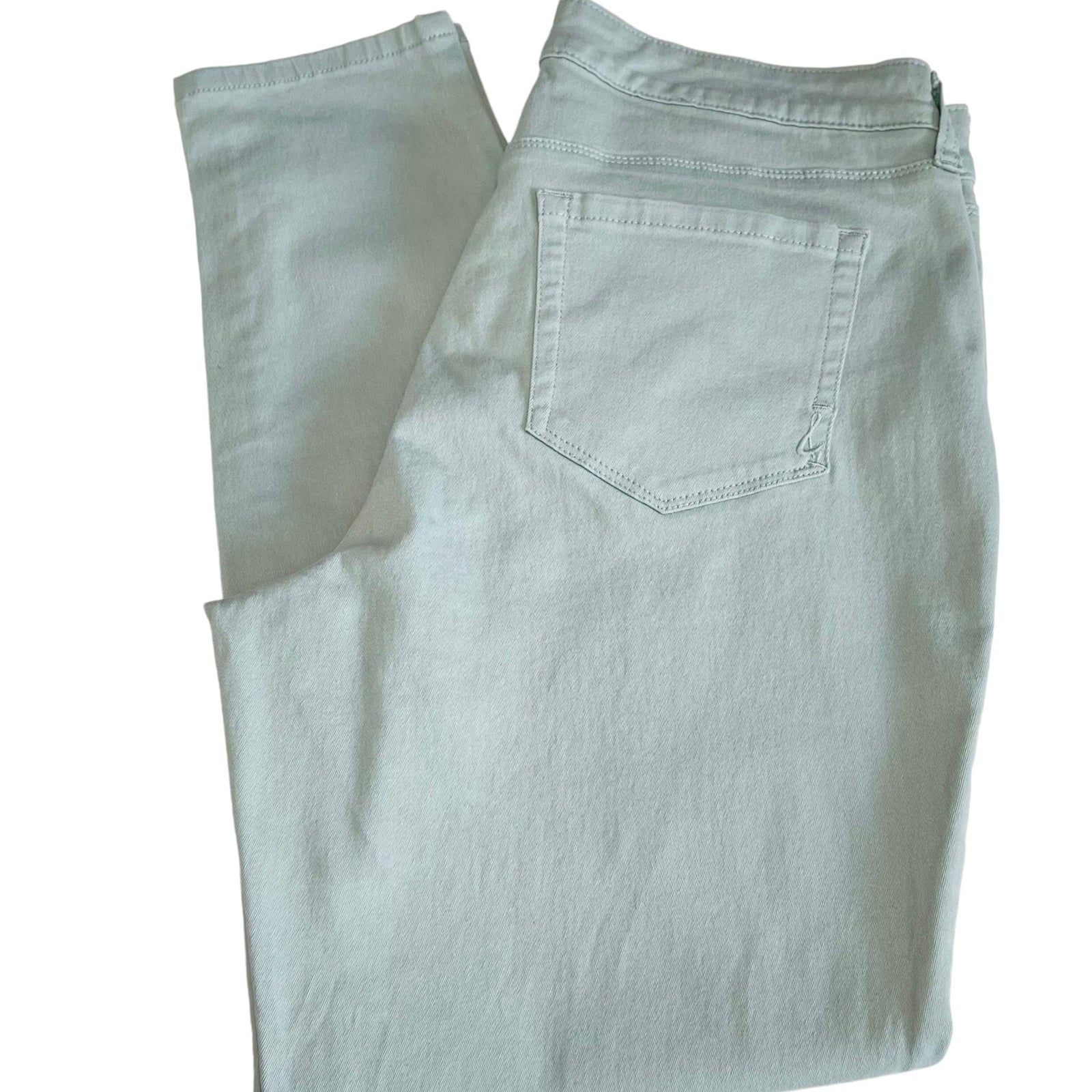 Style & Co Curvey Skinny Pants Size 10
