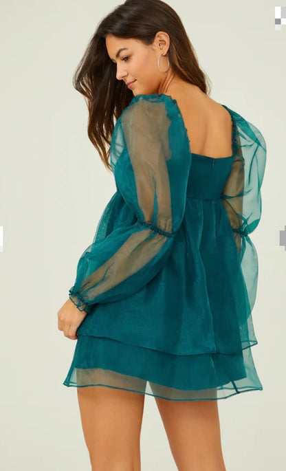 Altar’d State Ana Organza Babydoll Dress