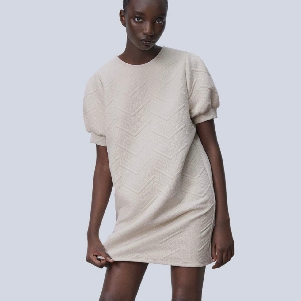 Zara Textured Mini Dress