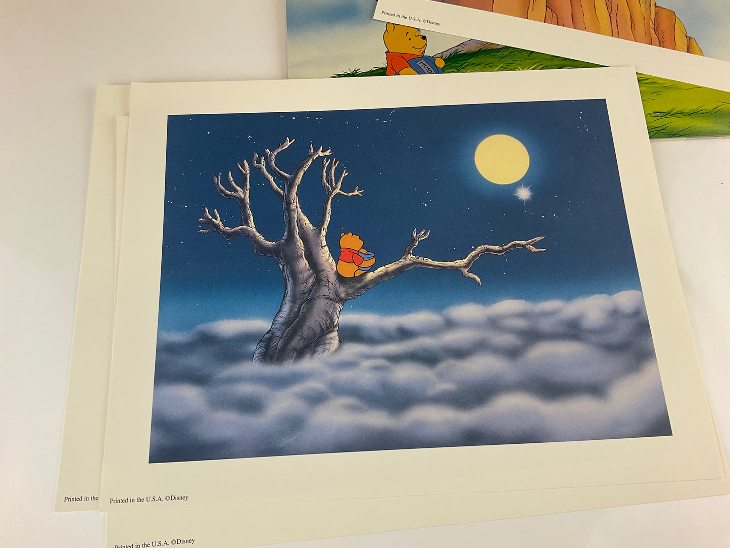 Disney 1997 Pooh’s Grand Adventure Exclusive Lithograph Portfolio - Our Sunshine Boutique